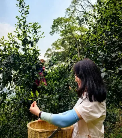 上海本地热点推荐：解锁今夏最火美食打卡与景点攻略