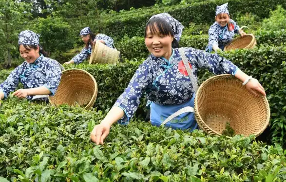 上海大观园红楼梦汉服拍照究竟有多绝？青浦大观园高度还原红楼梦场景门票多少钱