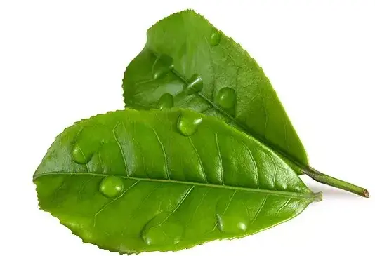 上海真心约会首选地曝光！新天地附近清静适合谈心的清吧竟藏在这里😍