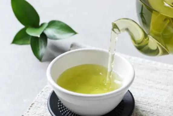 上海宠物友好茶室SCoBi愚园路：带毛孩子喝茶的快乐你根本想象不到🐾